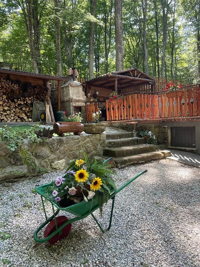 Chalet I Folletti Apartment Abbadia San Salvator